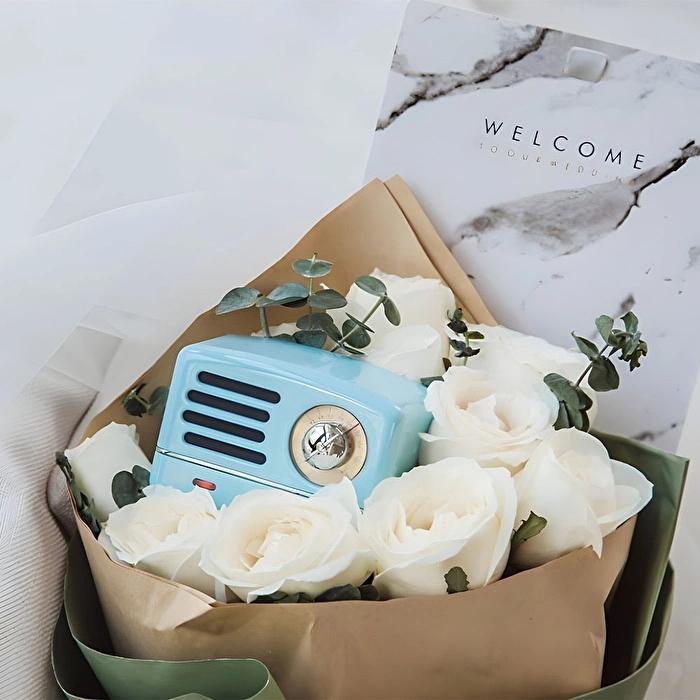 Muzen OTR Metal Series Gift-Box Portable Bluetooth Radio Speaker With Type-C