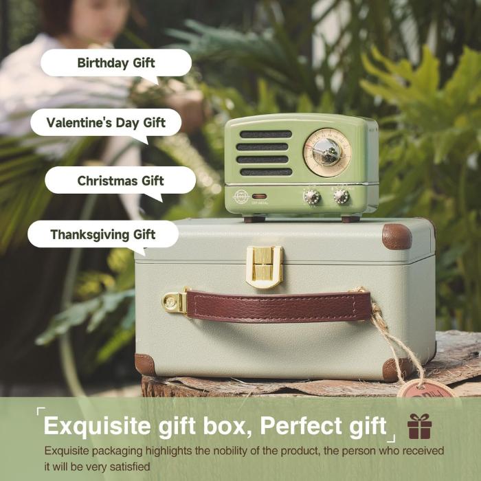 Muzen OTR Metal Series Gift-Box Portable Bluetooth Radio Speaker With Type-C