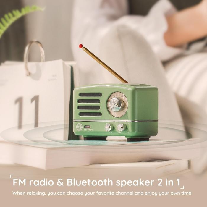 Muzen OTR Metal Series Gift-Box Portable Bluetooth Radio Speaker With Type-C
